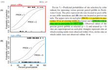 Key figure from